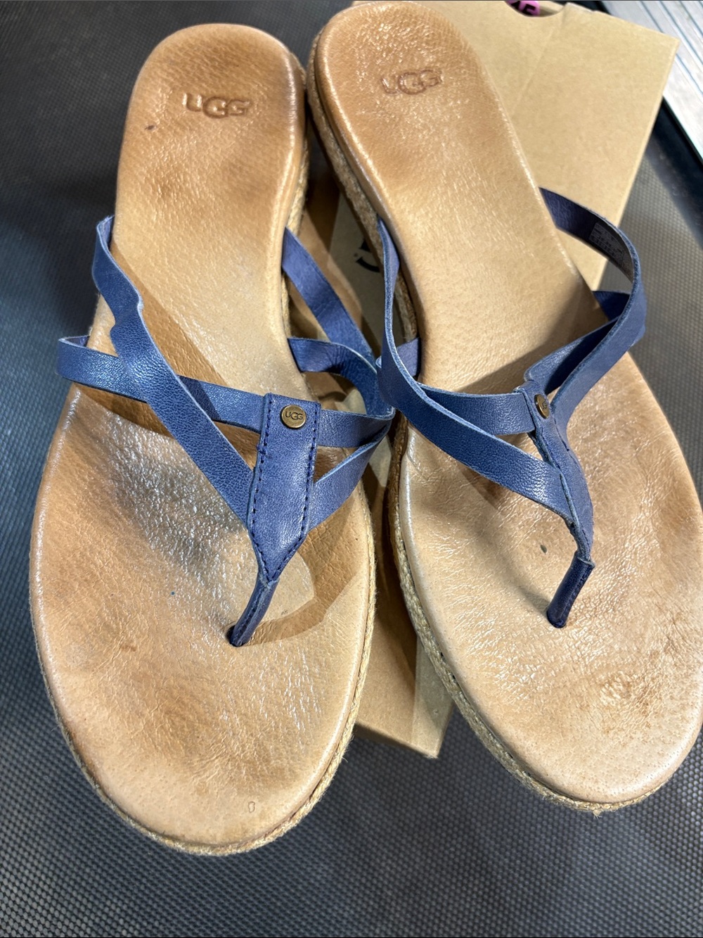 UGG Blue Leather Wedge Thong Sandals